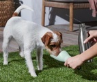 undefined, Hunde-Trinkflasche mit integrierter Trinkschale