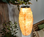 undefined, Solar-Lampion