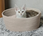 Tierkorb mit Kissen