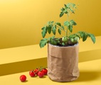 undefined, Tomaten-Saatgut im Papierbeutel