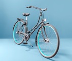 undefined, Damen-Hollandvelo