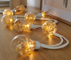 LED-Lichterkette mit Trockenblumen