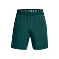 Under Armour Vanish Funktionsshorts Herren