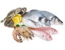 Fisch
