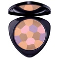 Dr Hauschka Colour Correcting Powder 01 activating 8 g