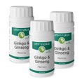 Vitaminplus, Vitaminplus Ginkgo & Ginseng Kapseln 3x 90 Stück
