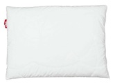 undefined, Bio Entendaunenkissen – 60x60 CM – Weich und Ökofreundlich