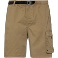 Element Pull Up Travel Shorts Herren