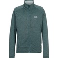 Jack Wolfskin ANYTRAIL Fleecejacke Herren