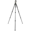 Vanguard Alta PRO 2+ 263Ab 100 - Stativ (Grau)