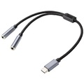 Renkforce USB 2.0 Adapterkabel [1x USB 2.0 Stecker C - 2x 3.5 mm Goldkontaktbuchse] RF-4613086 PVC-Mantel