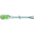 Murr Elektronik 7000-12261-2330500 Sensor-/Aktor-Steckverbinder, unkonfektioniert 5.00 m 1 St.