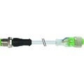 Murr Elektronik 7000-40331-2330200 Sensor-/Aktor-Steckverbinder, konfektioniert 2.00 m Polzahl: 3 1 St.