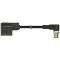 Ventilstecker Schwarz 7000-40901-6160060 Murr Elektronik Inhalt: 1 St.