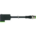 Ventilstecker Schwarz 7000-41081-6560060 Murr Elektronik Inhalt: 1 St.