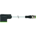 Ventilstecker Grau 7000-40921-2250200 Murr Elektronik Inhalt: 1 St.