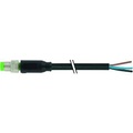 Murr Elektronik 7000-08001-6300200 Sensor-/Aktor-Steckverbinder, unkonfektioniert 2.00 m Polzahl: 3 1 St.