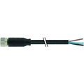 Murr Elektronik 7000-08041-6332500 Sensor-/Aktor-Steckverbinder, unkonfektioniert 25.00 m Polzahl: 3 1 St.
