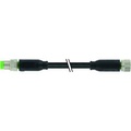 Murr Elektronik 7000-88001-6500100 Sensor-/Aktor-Steckverbinder, konfektioniert 1.00 m Polzahl: 3 1 St.