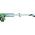Murr Elektronik 7000-12381-2531000 Sensor-/Aktor-Steckverbinder, unkonfektioniert 10.00 m 1 St.