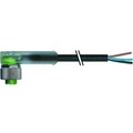 Murr Elektronik 7000-12441-6251000 Sensor-/Aktor-Steckverbinder, unkonfektioniert 10.00 m 1 St.