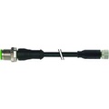 Murr Elektronik 7000-40581-6310100 Sensor-/Aktor-Steckverbinder, konfektioniert 1.00 m Polzahl: 4 1 St.