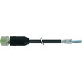 Murr Elektronik 7000-13221-6430300 Sensor-/Aktor-Steckverbinder, unkonfektioniert 3.00 m 1 St.