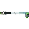 Murr Elektronik 7000-40351-2340250 Sensor-/Aktor-Steckverbinder, konfektioniert 2.50 m 1 St.