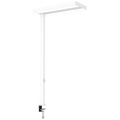 Maul LED-Tischleuchte, MAULjaval, weiss, dimmbar, 8258302