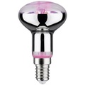 LED-Pflanzenlampe E14 R50 4W
