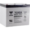 Yuasa REC80-12 YUAREC8012 Bleiakku 12 V 80 Ah Blei-Vlies (AGM) (B x H x T) 259 x 212 x 168 mm M6-Schraubanschluss