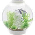 Oase, Oase 72007 Aquarium 30 l mit LED-Beleuchtung