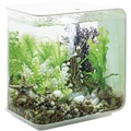 Oase, Oase 72030 Aquarium 15 l mit LED-Beleuchtung
