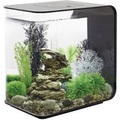 Oase, Oase 72033 Aquarium 30 l mit LED-Beleuchtung