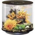 Oase, Oase 72062 Aquarium 15 l mit LED-Beleuchtung