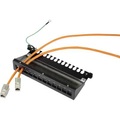 Renkforce RF-BKP-120 12 Port Netzwerk-Patchbox Unbestückt 1 HE