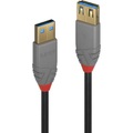LINDY USB 3.0 Verlängerungskabel [1x USB 3.0 Stecker A - 1x USB 3.0 Buchse A] 1 m Schwarz
