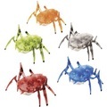 HexBug Scarab Spielzeug Roboter