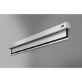 Celexon Rollo Professional Plus 1090806 Motorleinwand