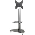 SpeaKa Professional, SpeaKa Professional SP-TVRW-01 TV-Rollwagen 81,3 cm (32) - 139,7 cm (55) Neigbar
