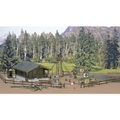 Busch, Busch 6042 H0 Waldhütte
