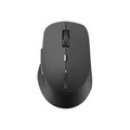 Rapoo, Rapoo M300 Silent Maus