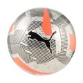 PUMA Fussball »Cage Ballgrösse: 5«