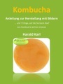 Kombucha - Anleitung zur Herstellung mit Bildern
