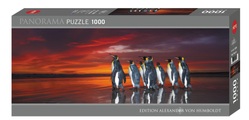 King Penguins Panorama (Puzzle)