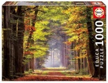 Herbstweg durch Wald (Puzzle)