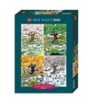 Heye Puzzle 4 Seasons Standard, 2000 Teile