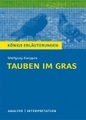 undefined, Interpretation zu Wolfgang Koeppen 'Tauben im Gras'