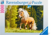 Pferdeglück (Puzzle)