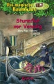 Sturmflut vor Venedig / Das magische Baumhaus Bd.31